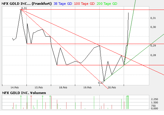 NFX Gold Inc. 149562